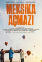 Meksika Açmazı İzle Full HD