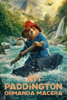 Ayı Paddington: Ormanda Macera Full HD İzle
