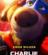 Kahraman Köpek Charlie Full HD İzle