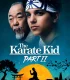 Karate Kid 2 Türkçe Dublaj İzle